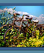 Abandoned bikes icon